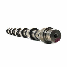 Dodge Race Performance Camshaft For 2007.5-2018 6.7L Cummins Stage 1 Industrial Injection